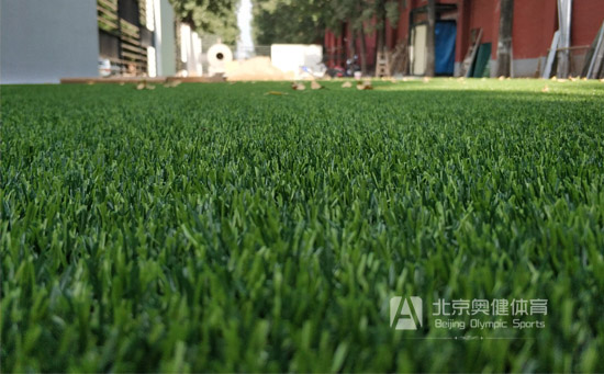 曲加直加密人工草坪红节图